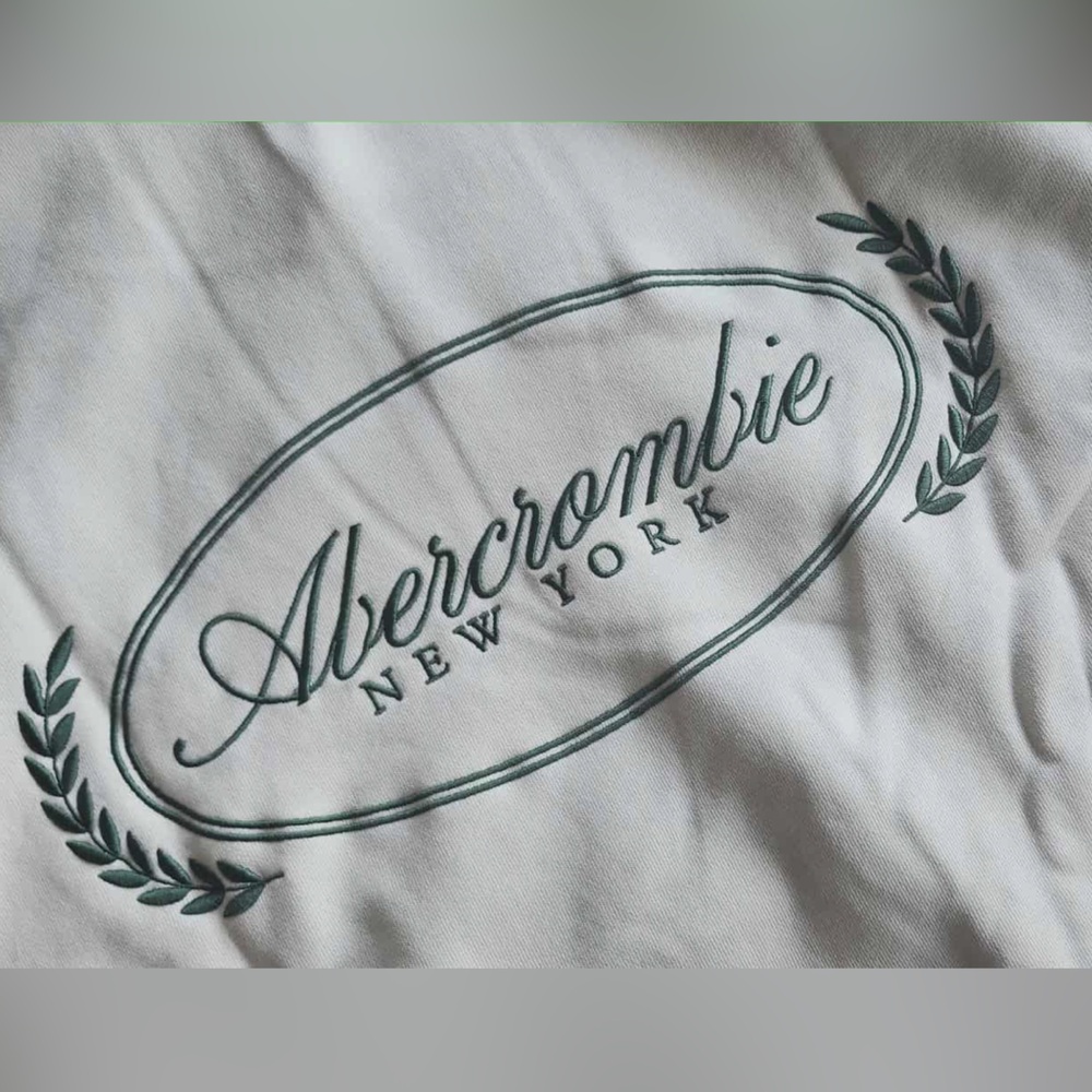 Abercrombie & Fitch Logo Popover Hoodie size XXL NWT - Picture 10 of 11